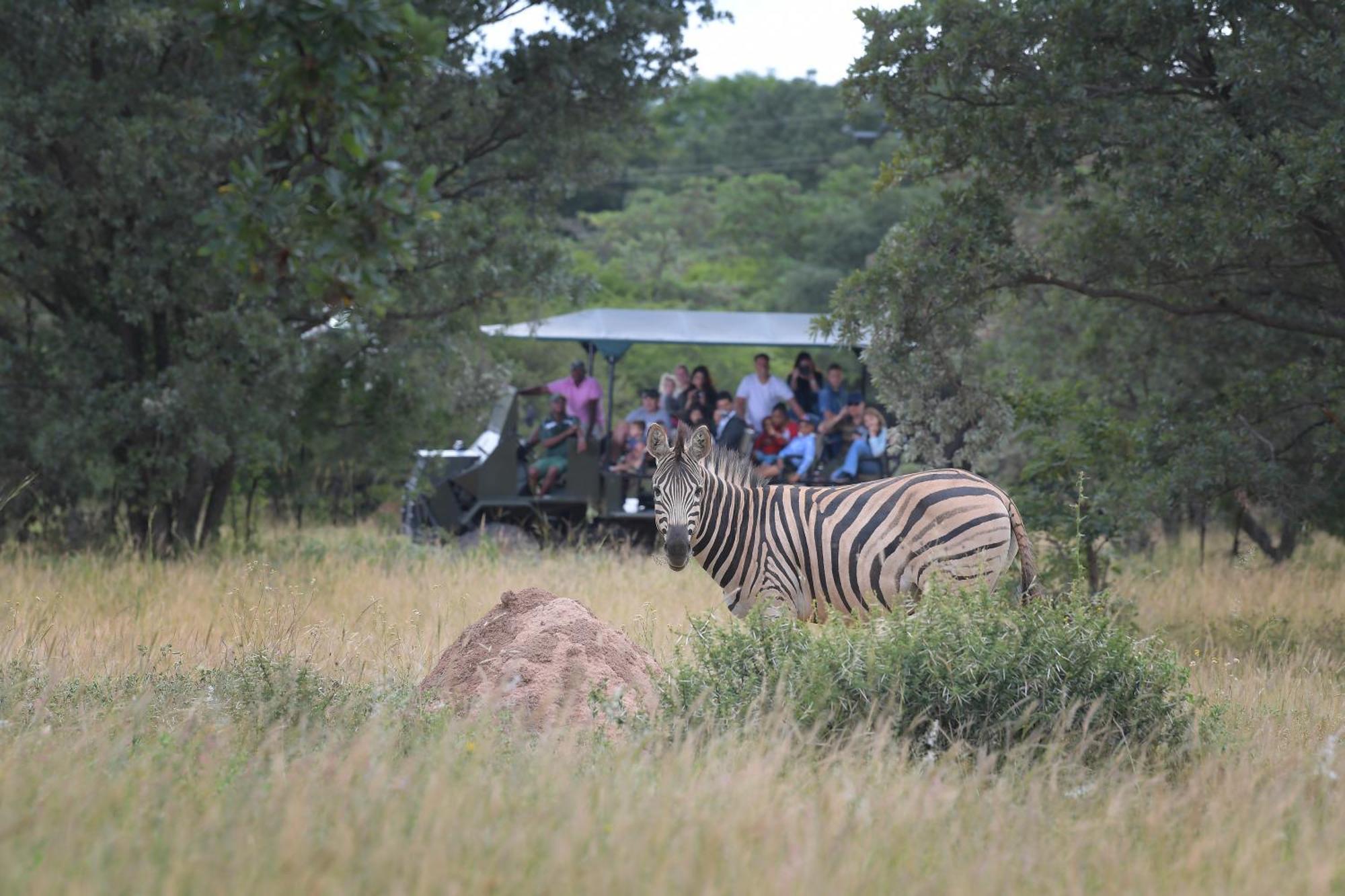 Atkv Klein-Kariba Hotel Bela-Bela Buitenkant foto